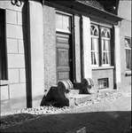 Gevelstenen en ornamenten