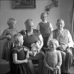 Familie Donderwinkel