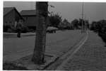 1978 - haw_55433
