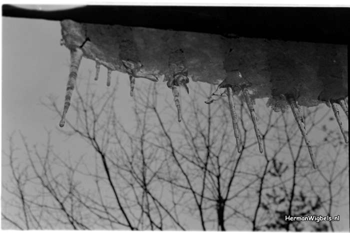 1963 - haw_55588