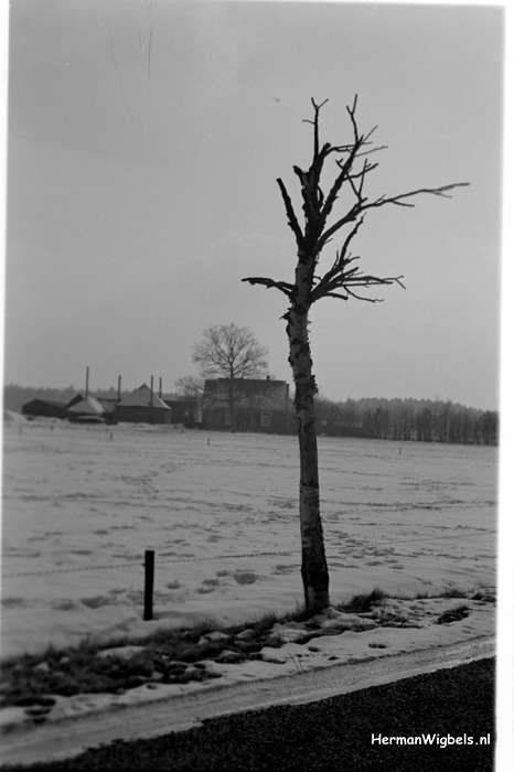 1963 - haw_55591