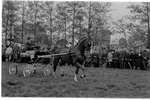 1963 - haw_55614