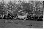 1963 - haw_55618