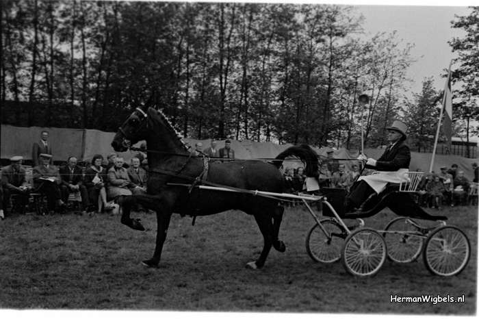 1961 - haw_55720