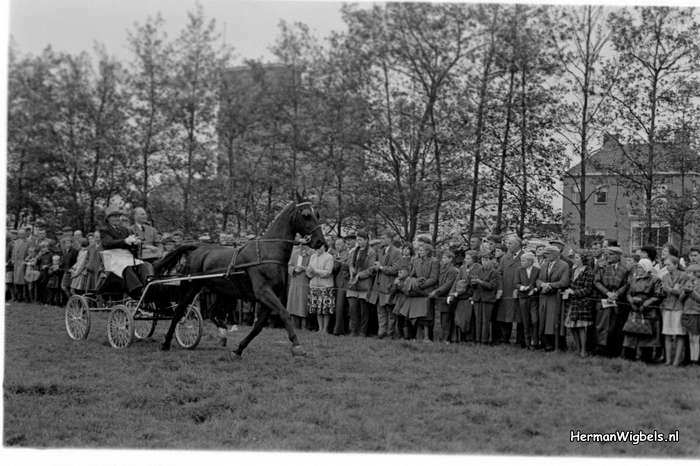 1961 - haw_55723