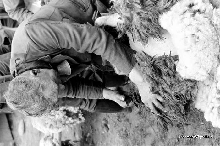 1963 - haw_56107