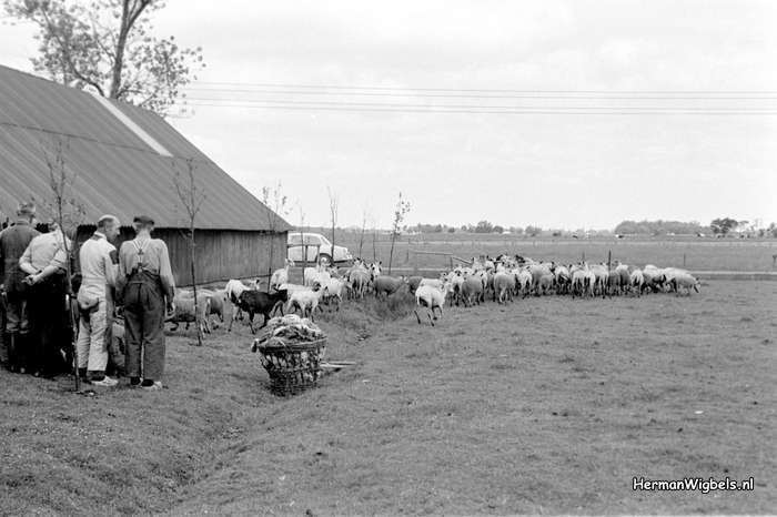 1963 - haw_56112