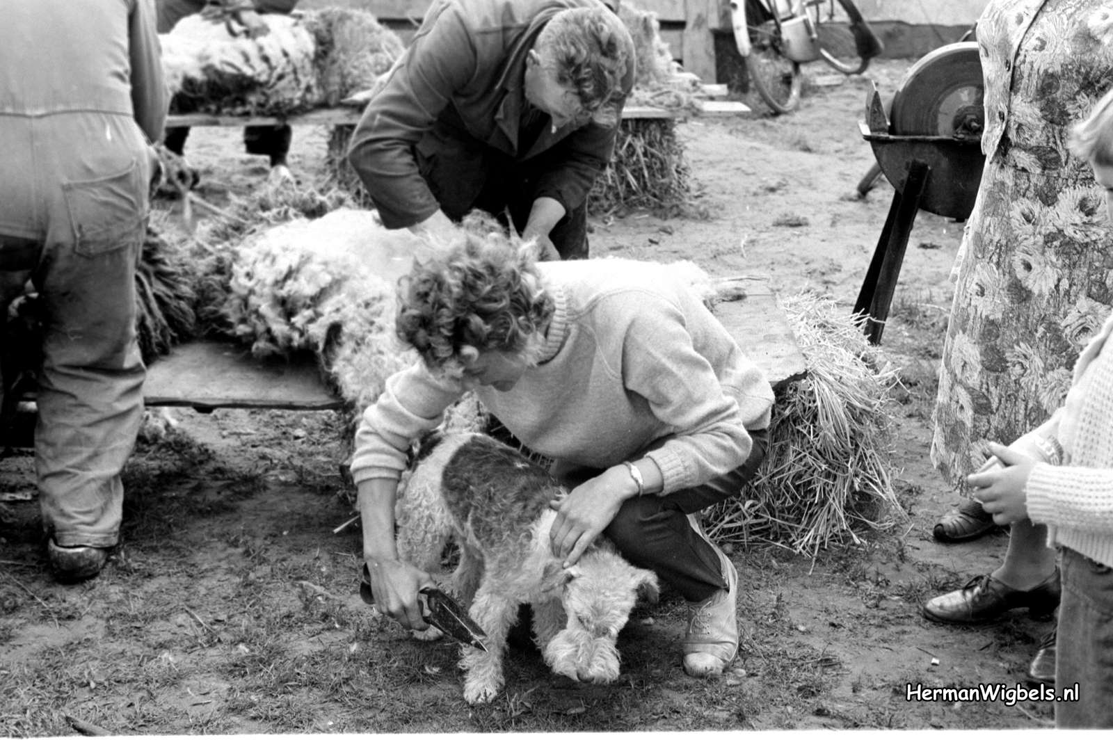 1963 - haw_56114