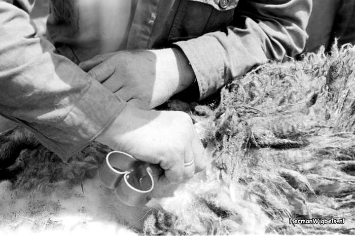 1963 - haw_56115