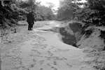 1963 - haw_56786