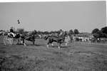 1964 - haw_56929