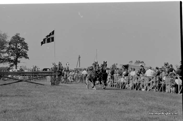 1964 - haw_56933