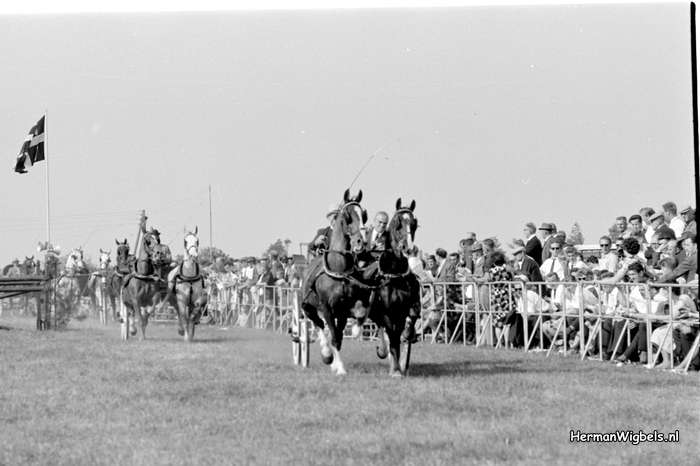 1964 - haw_56934