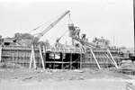 1964 - haw_56981