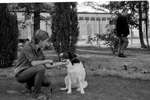 1964 - haw_57002