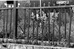 1964 - haw_57075