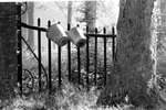 1964 - haw_57077
