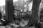 1964 - haw_57078