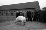 1964 - haw_57297