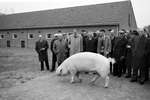 1964 - haw_57298