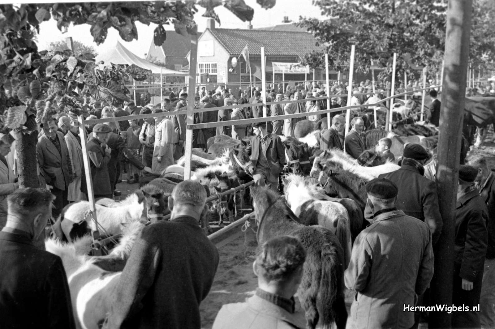 1964 - haw_57336