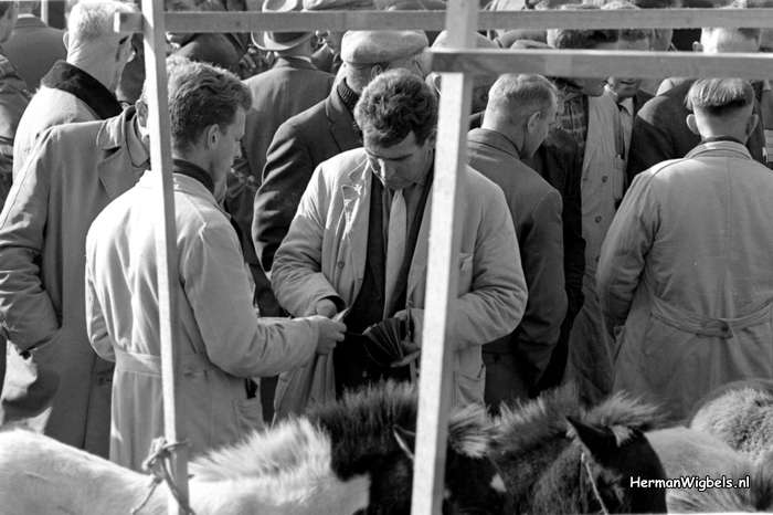 1964 - haw_57338