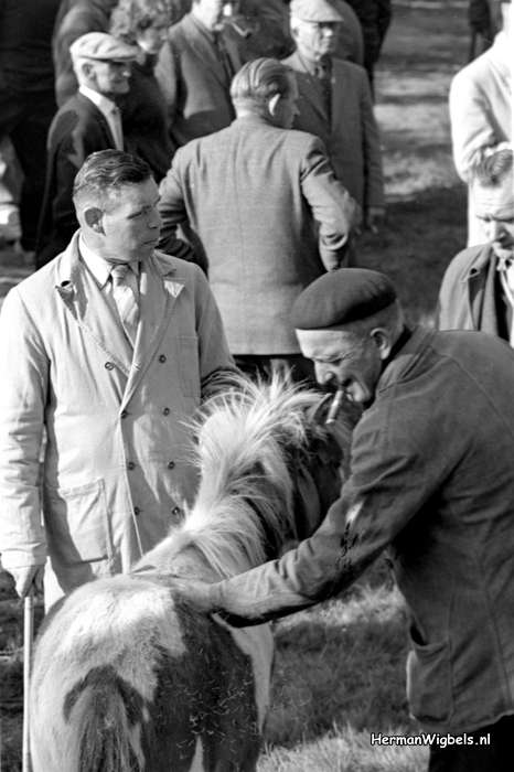 1964 - haw_57339