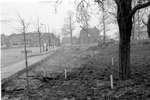 1965 - haw_57562