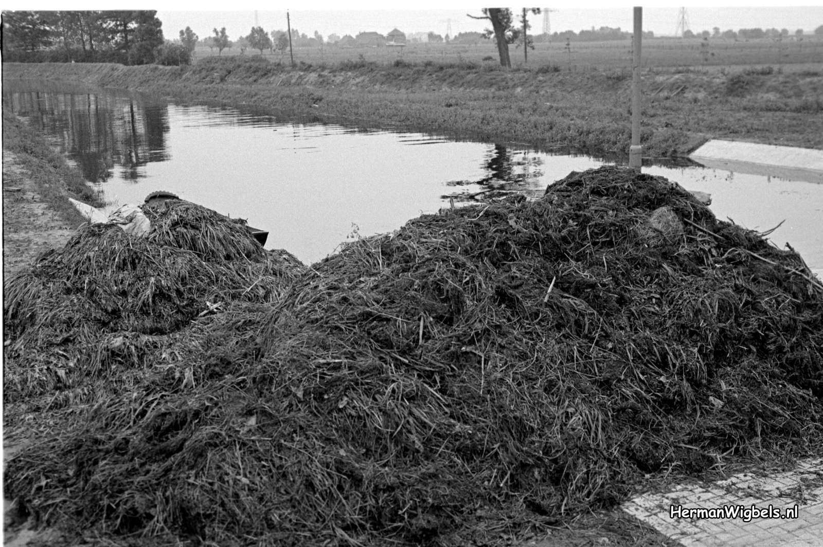 1965 - haw_57828