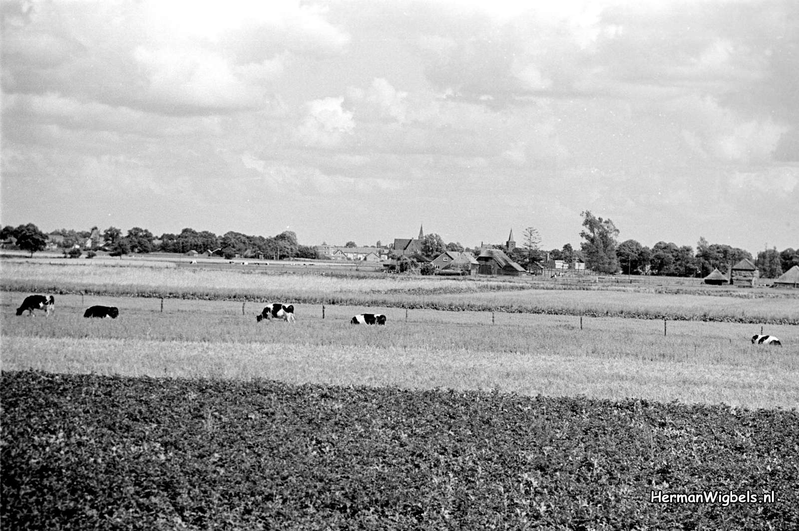 1967 - haw_58835