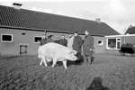 1967 - haw_59100