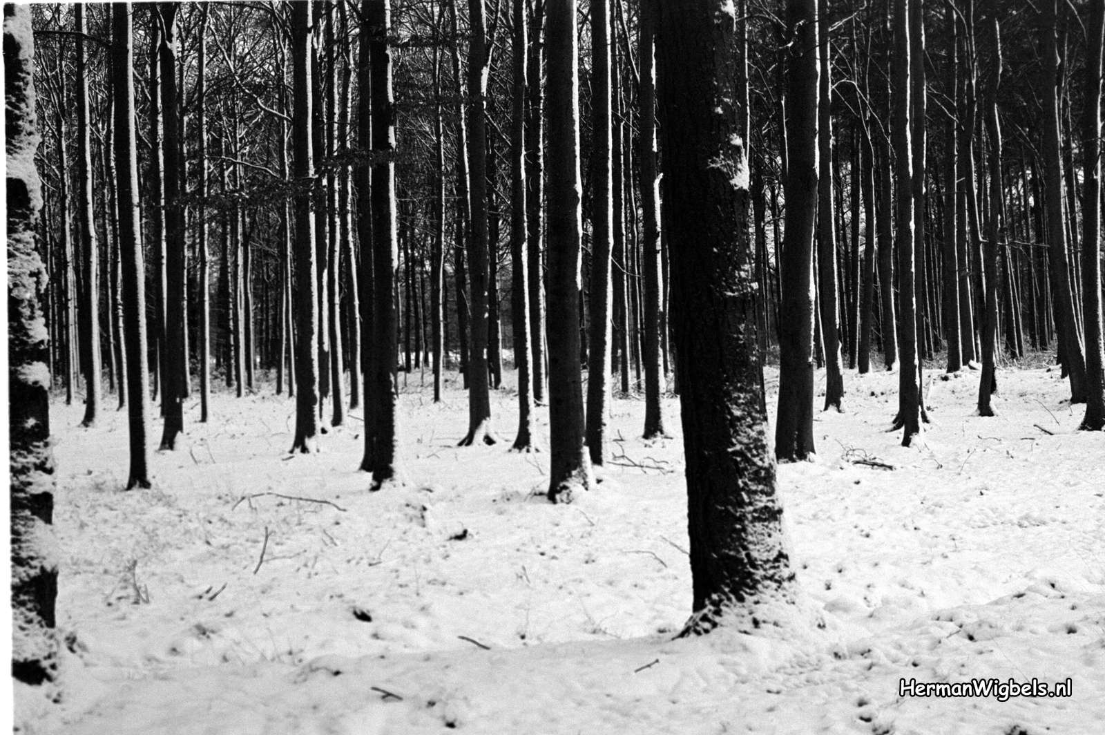 1967 - haw_59390