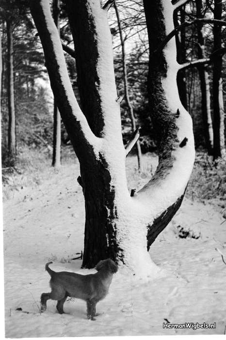 1967 - haw_59392
