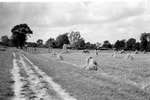 1957 - haw_59820