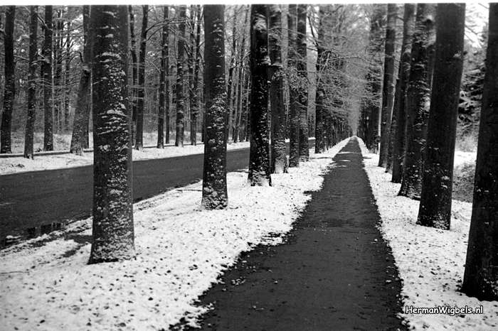 1958 - haw_59913
