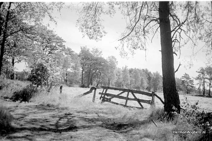 1958 - haw_59923