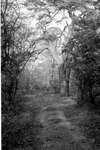 1959 - haw_59962