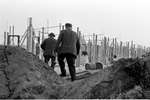 1962 - haw_60107
