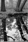1962 - haw_60126