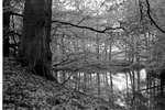 1962 - haw_60129