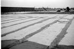 1962 - haw_60248