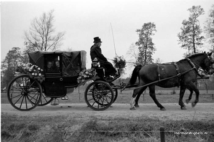 1961 - haw_60293