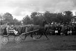 1962 - haw_60376