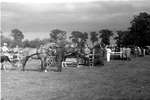 1962 - haw_60380