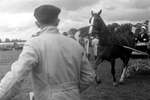 1962 - haw_60381