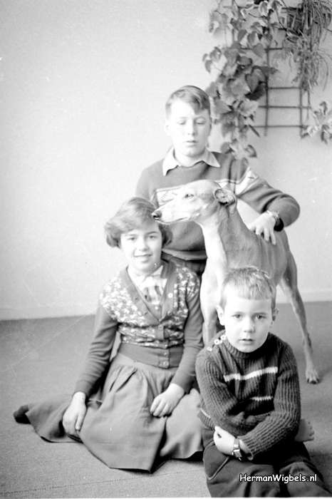 1958 - haw_60390