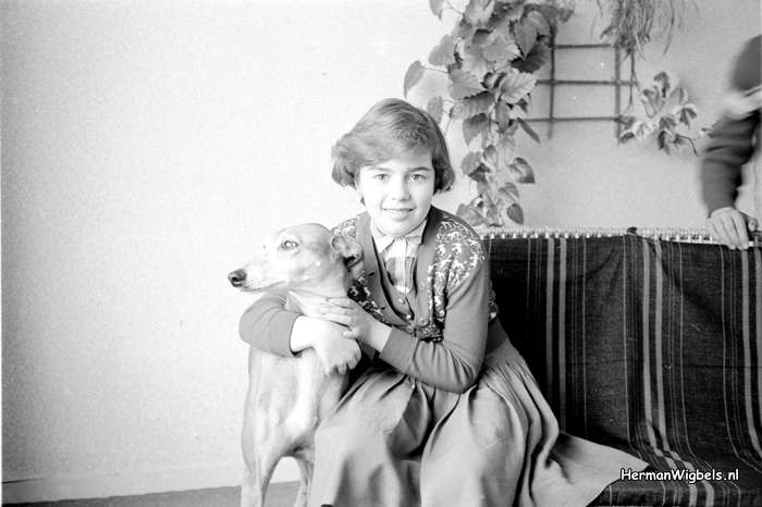 1958 - haw_60391