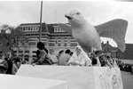 1969 - haw_60911