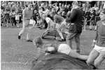 1969 - haw_61369