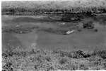 1970 - haw_62451